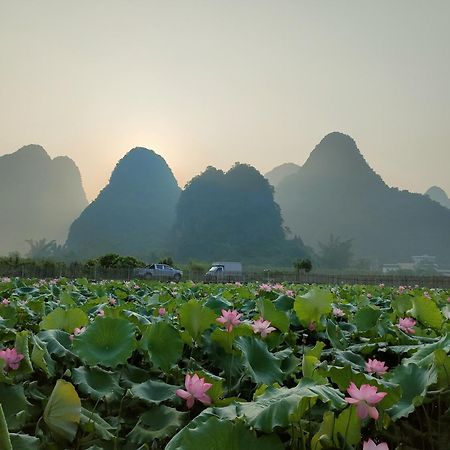 Yangshuo Tea Cozy Konuk evi Dış mekan fotoğraf