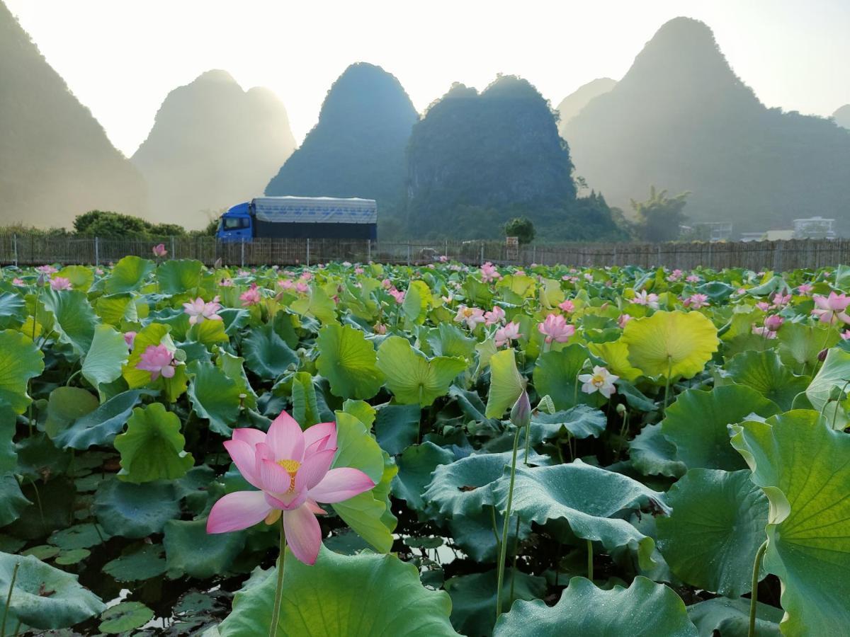 Yangshuo Tea Cozy Konuk evi Dış mekan fotoğraf