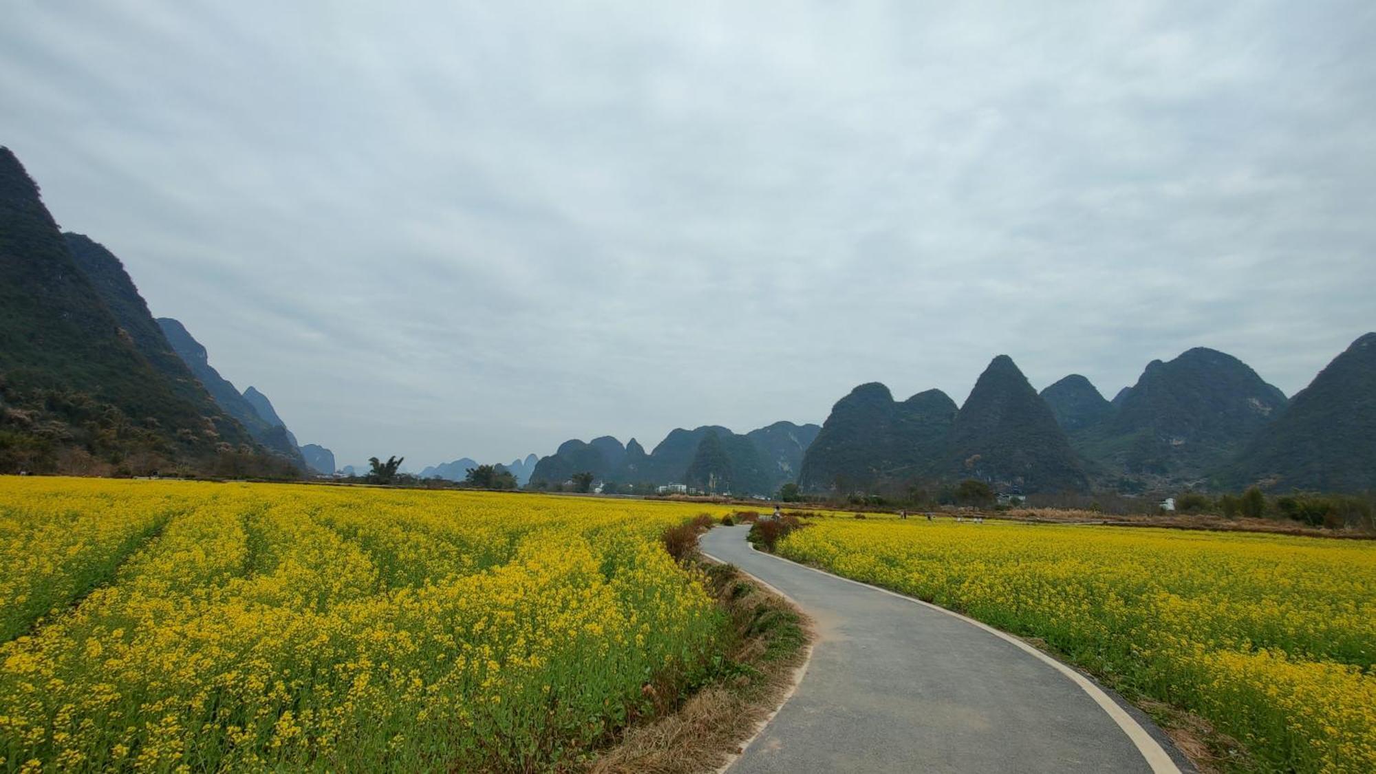 Yangshuo Tea Cozy Konuk evi Dış mekan fotoğraf