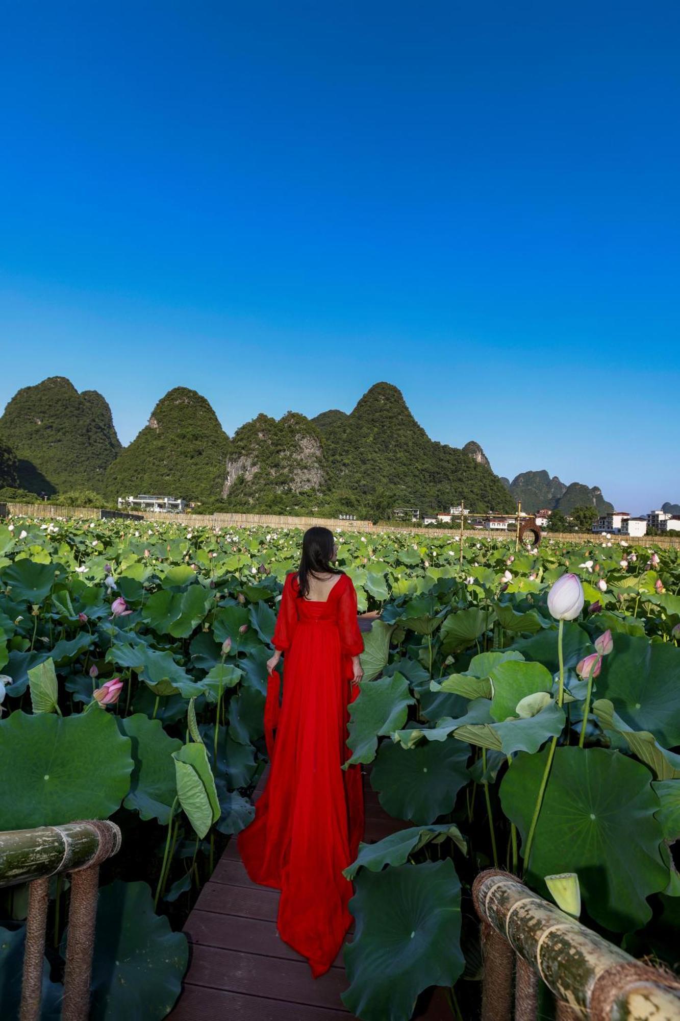 Yangshuo Tea Cozy Konuk evi Dış mekan fotoğraf