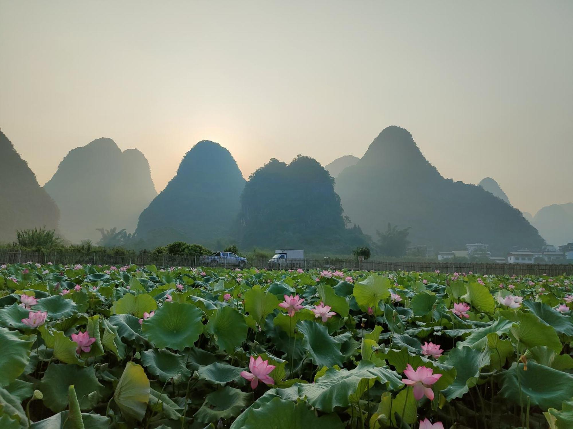 Yangshuo Tea Cozy Konuk evi Dış mekan fotoğraf