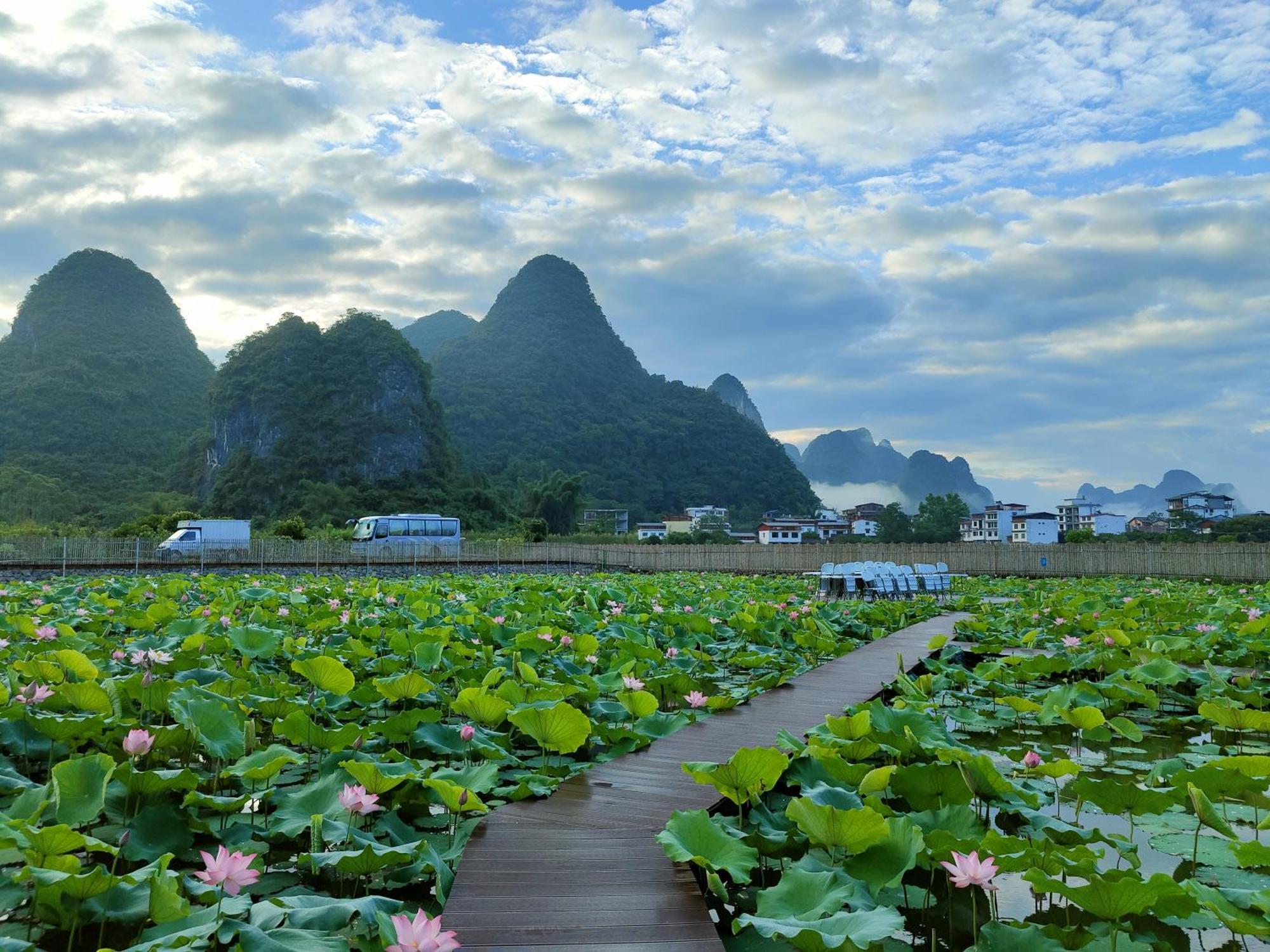 Yangshuo Tea Cozy Konuk evi Dış mekan fotoğraf